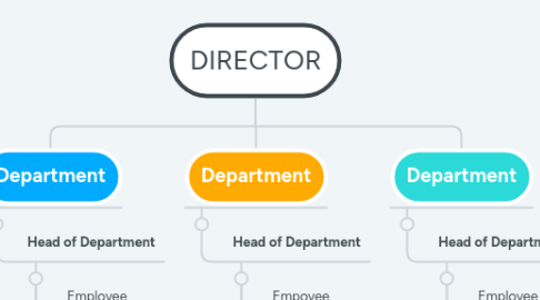 Mind Map: DIRECTOR