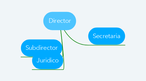 Mind Map: Director