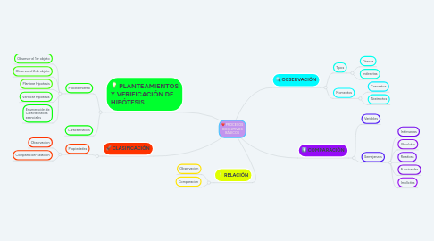 Mind Map: PROCESOS COGNITIVOS BÁSICOS