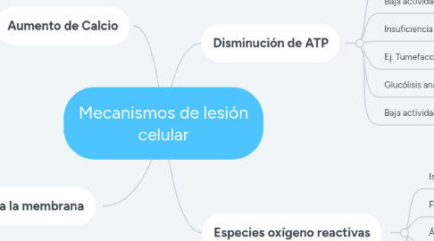 Mind Map: Mecanismos de lesión celular