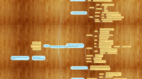 Mind Map: Marco Conceptual NIC -  NIIF