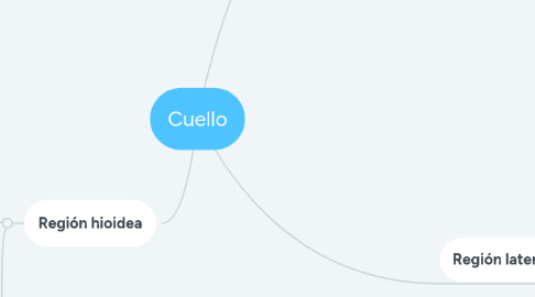 Mind Map: Cuello