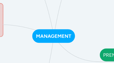 Mind Map: MANAGEMENT