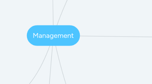 Mind Map: Management