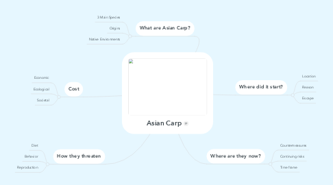 Mind Map: Asian Carp