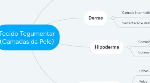 Mind Map: Tecido Tegumentar (Camadas da Pele)