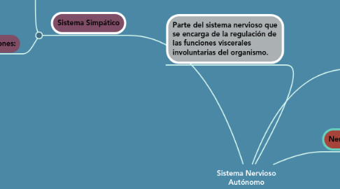 Mind Map: Sistema Nervioso Autónomo