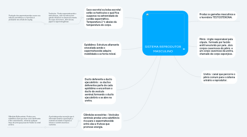 Mind Map: SISTEMA REPRODUTOR MASCULINO