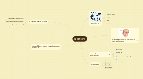 Mind Map: EL CEREBRO