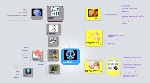 Mind Map: Mapa Mental