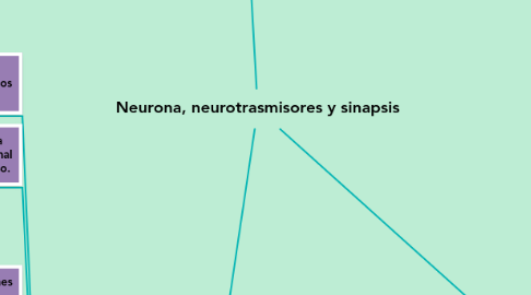 Mind Map: Neurona, neurotrasmisores y sinapsis