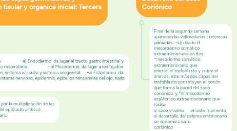 Mind Map: Embriologia