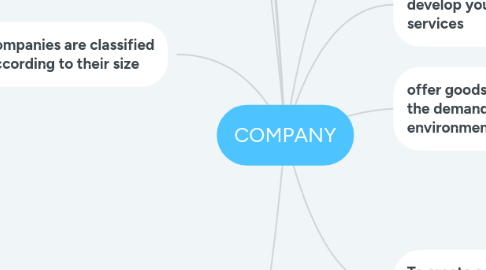 Mind Map: COMPANY