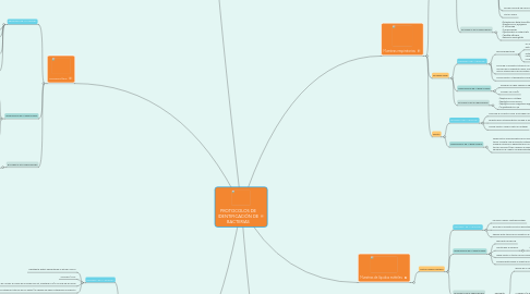 Mind Map: PROTOCOLOS DE IDENTIFICACIÓN DE BACTERIAS