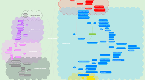 Mind Map: Transport solidaire