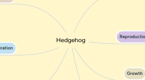 Mind Map: Hedgehog