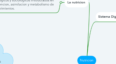 Mind Map: Nutricion
