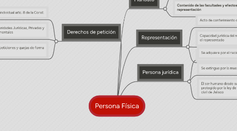 Mind Map: Persona Física