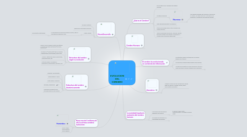 Mind Map: EVOLUCION DEL CEREBRO