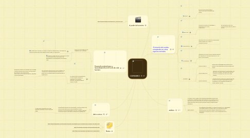 Mind Map: CEREBRO