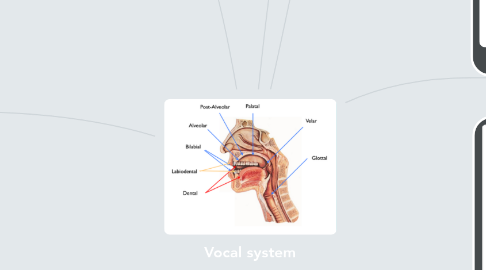 Mind Map: Vocal system