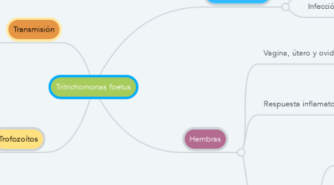 Mind Map: Tritrichomonas foetus