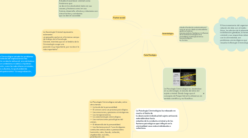Mind Map: FACTORES DE LA CONDUCTA CRIMINAL , BIOLÓGICOS , PSICOLÓGICOS Y SOCIALES