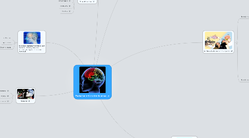 Mind Map: Evolución del cerebro humano
