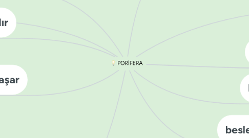 Mind Map: PORİFERA