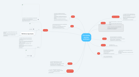 Mind Map: Principales bonnes pratiques