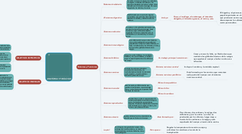 Mind Map: ANATOMIA Y FISIOLOGIA