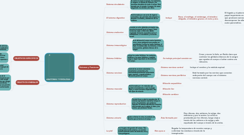 Mind Map: ANATOMIA Y FISIOLOGIA