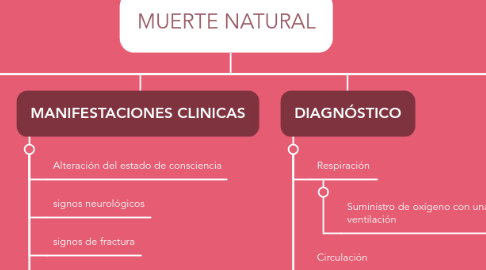 Mind Map: MUERTE NATURAL