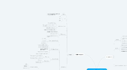 Mind Map: THE MACRO - ENVIRONMENT