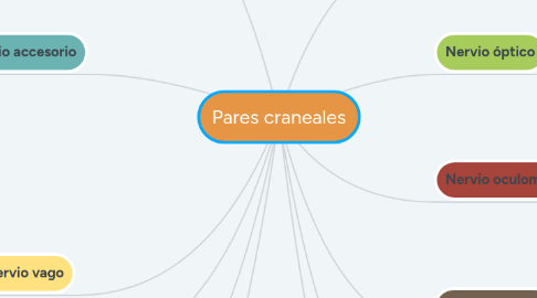 Mind Map: Pares craneales