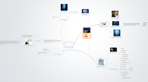 Mind Map: EVOLUCION DEL CEREBRO HUMANO.