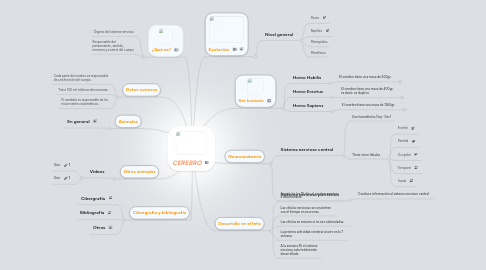 Mind Map: CEREBRO