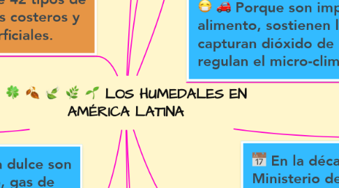 Mind Map: LOS HUMEDALES EN AMÉRICA LATINA