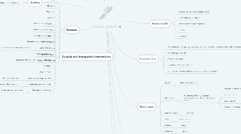 Mind Map: Urinary system