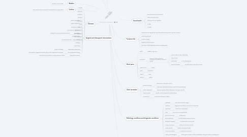 Mind Map: Urinary system