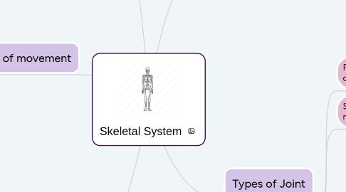 Mind Map: Skeletal System