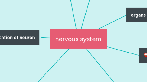 nervous system | MindMeister Mind map
