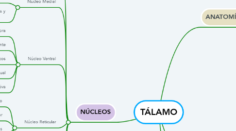 Mind Map: TÁLAMO