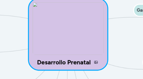 Mind Map: Desarrollo Prenatal