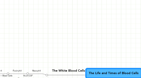 Mind Map: The Life and Times of Blood Cells