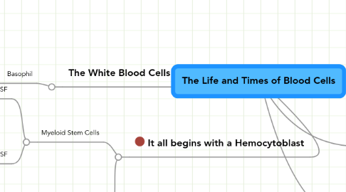 Mind Map: The Life and Times of Blood Cells