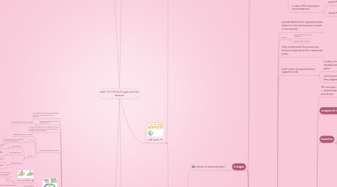 Mind Map: wk6-1.11-1.12:Cell Cycle and Cell division