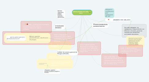 Mind Map: RESOLUCION 0312 DEL 2019