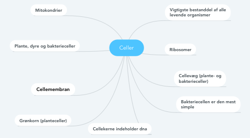 Mind Map: Celler