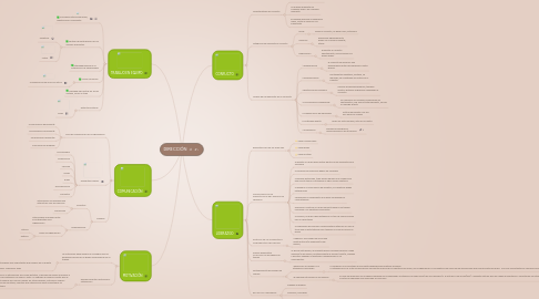 Mind Map: DIRECCIÓN